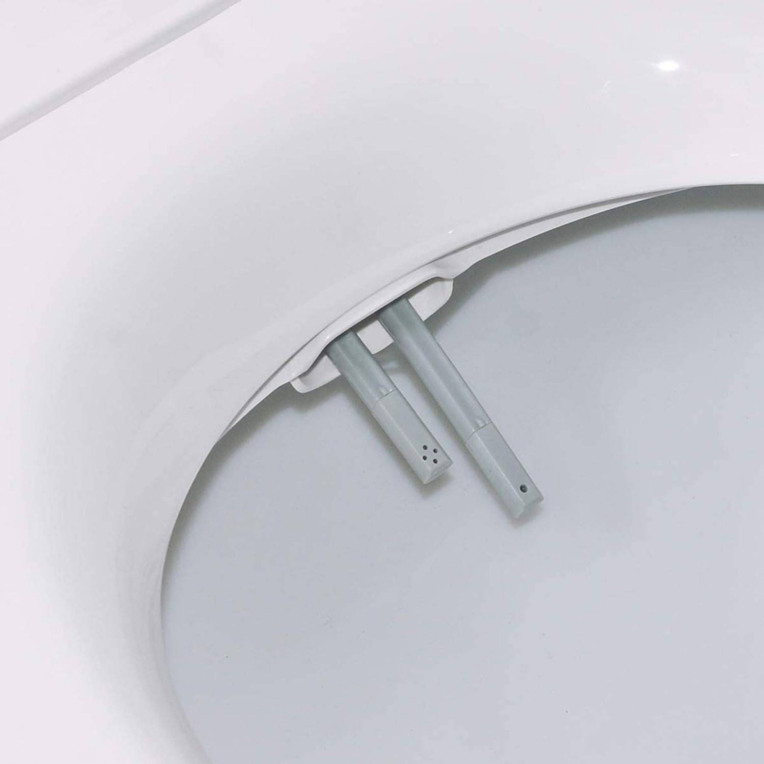 Toilet Lid With Bidet