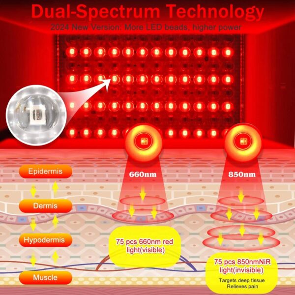 buy red light lamp